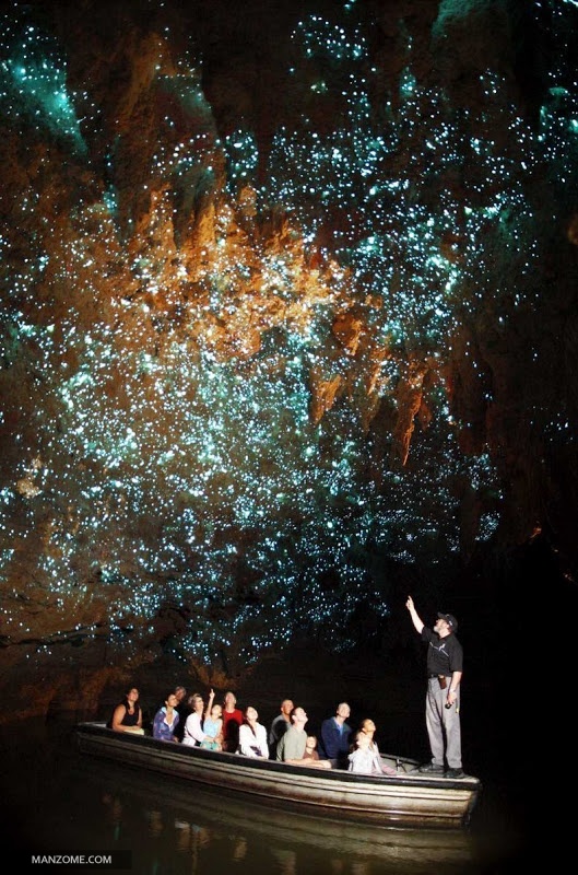 کرم های شب تاب این غار را تبدیل به آسمان پر ستاره کردند