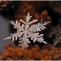 دانه های برف در عکاسی از نمای نزدیک