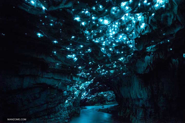 کرم های شب تاب این غار را تبدیل به آسمان پر ستاره کردند